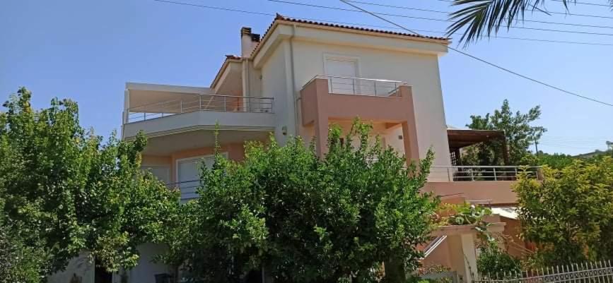 House,1000M From Beach لاغونيسي المظهر الخارجي الصورة