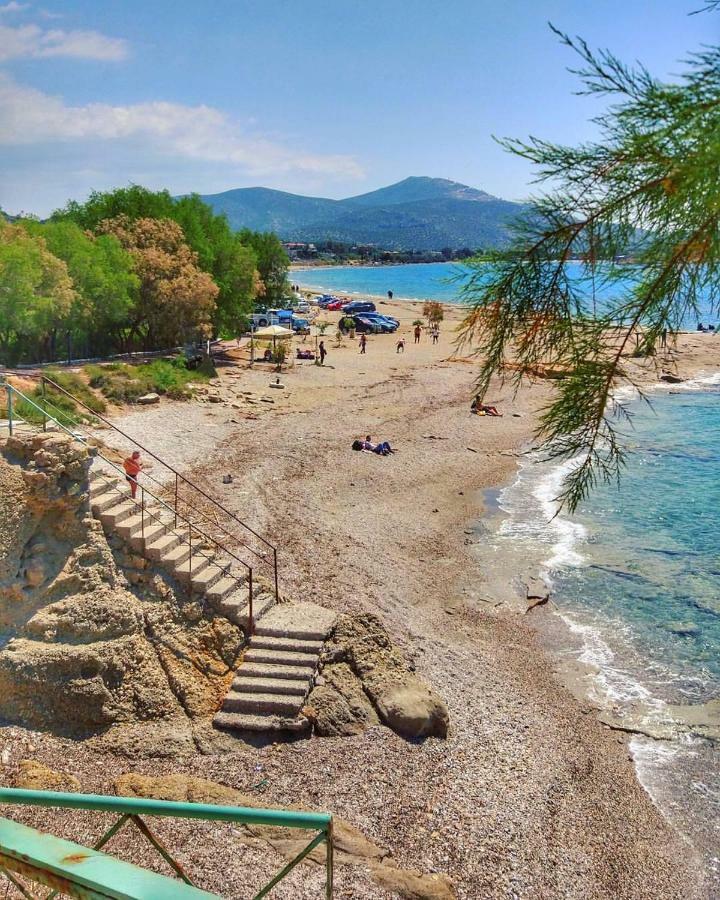 House,1000M From Beach لاغونيسي المظهر الخارجي الصورة